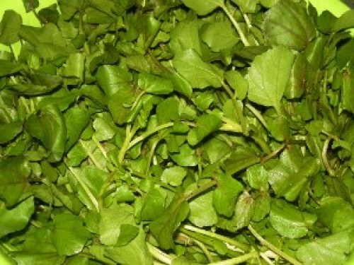 DSCN2349 (300x225).jpg