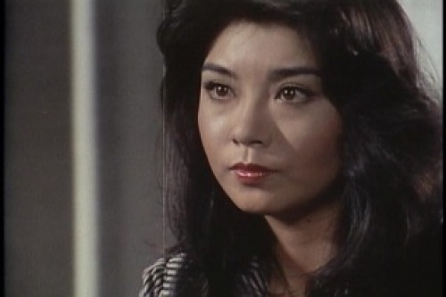PDVD_016.jpg