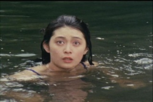 PDVD_007.jpg