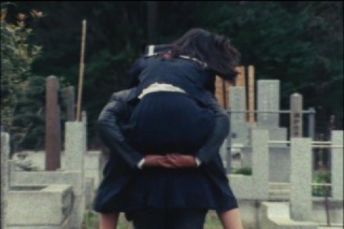 PDVD_029.jpg