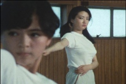 PDVD_000.jpg
