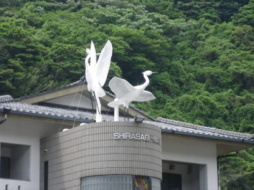 下田温泉 白鷺の湯.JPG