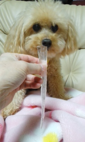 差し歯１.jpg