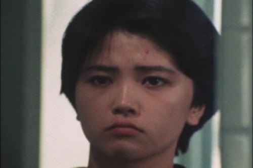 PDVD_004.jpg