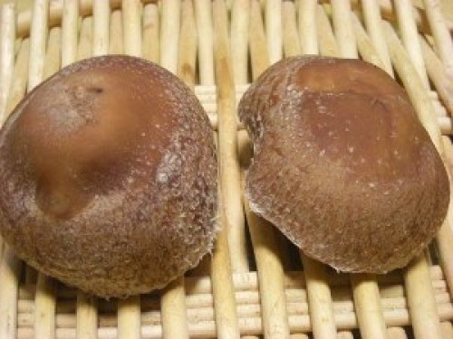 DSCN2747 (300x225).jpg