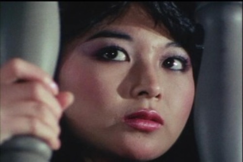 PDVD_017.jpg