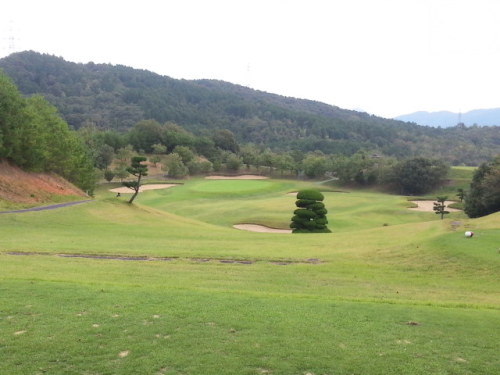 20131010_145337.jpg