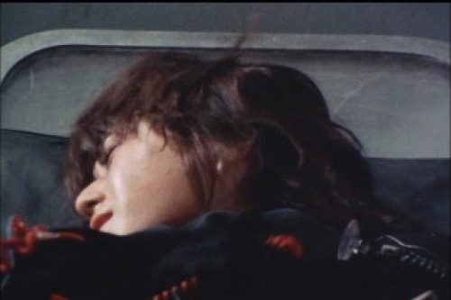 PDVD_015.jpg
