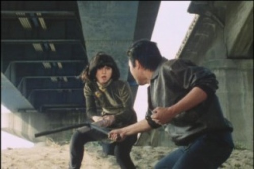 PDVD_008.jpg
