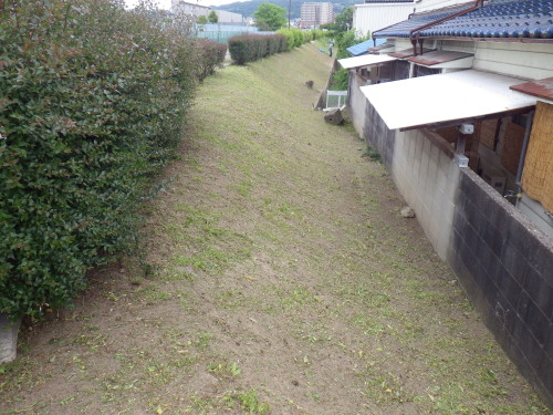 岡部川堤防の草刈り