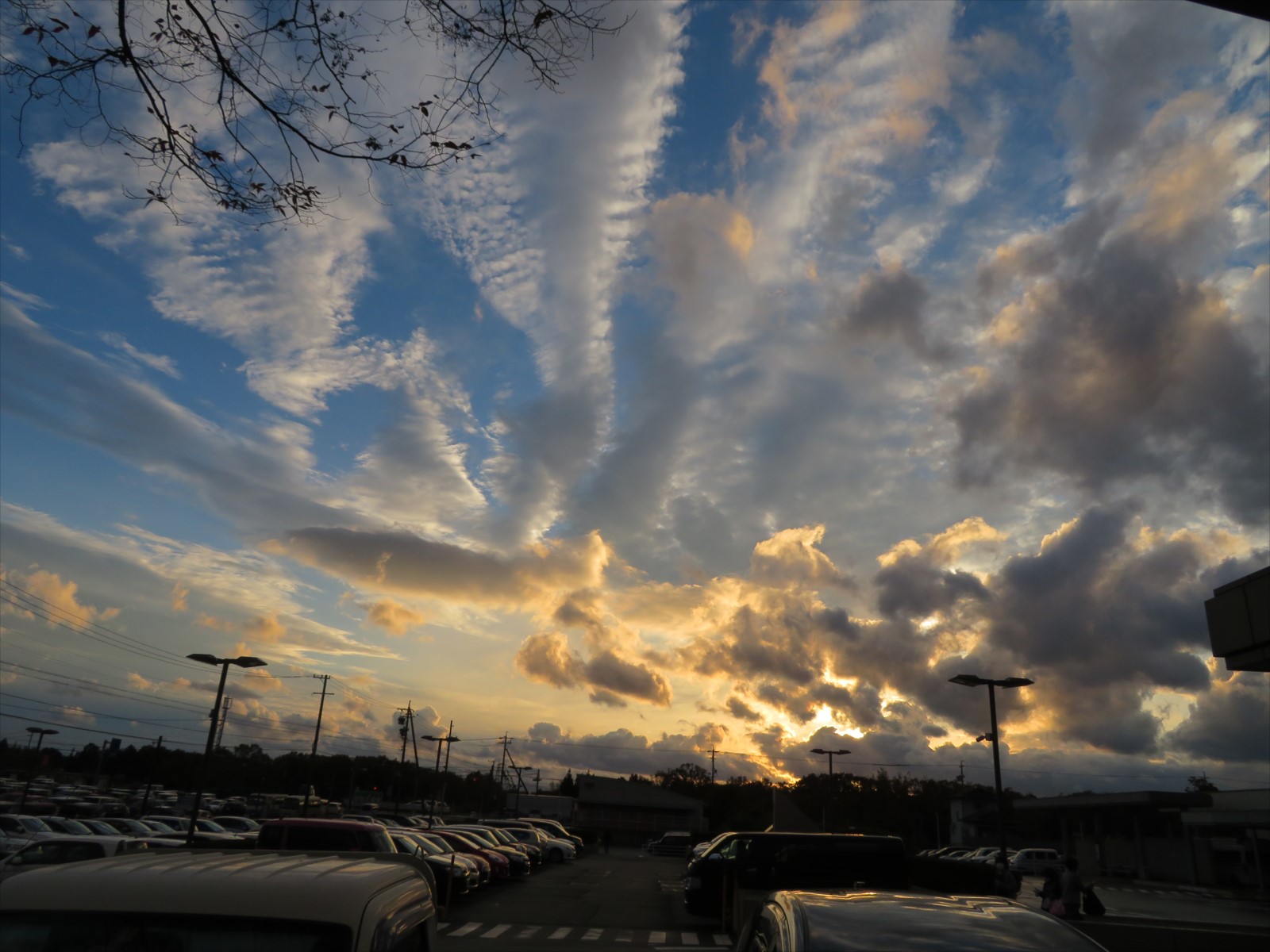 冬の空 12月5日 ニンニク父さんのブログ 楽天ブログ