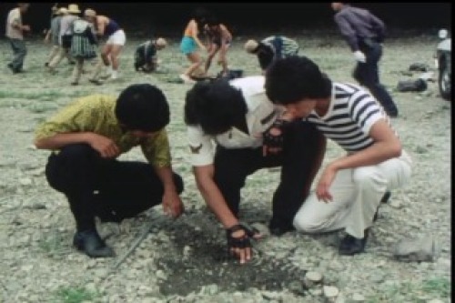 PDVD_011.jpg