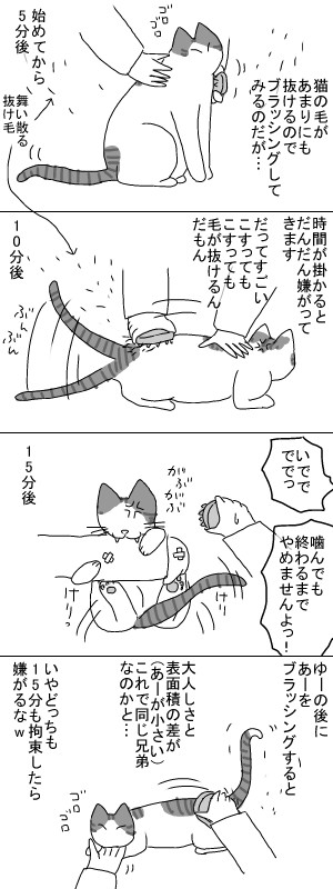 ブラッシングさせてくれ～
