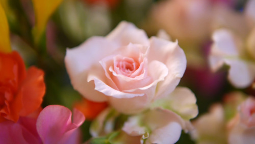 01 800x451.jpg