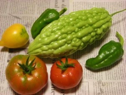 DSCN2595 (300x225).jpg