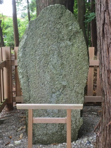 IMG_2737 (480x640).jpg