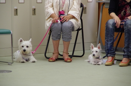 中10IMGP1120.jpg