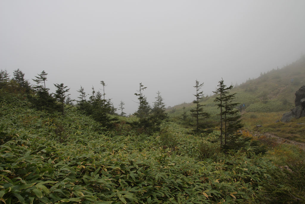 Yakedake2017092336.JPG