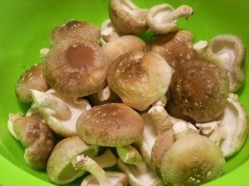 DSCN6435 (300x225).jpg