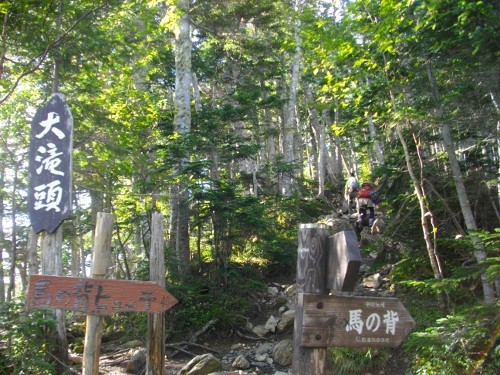 仙丈ケ岳大滝頭 (5) (500x375).jpg