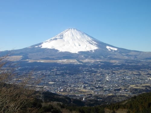 乙女峠ふじみ茶屋 (2).JPG