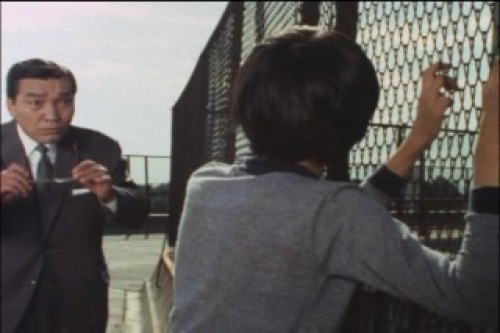 PDVD_019.jpg