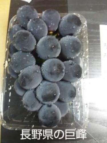 20150818_221618.jpg
