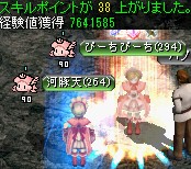 キングクラブの巣