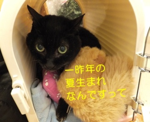 20121210_4.jpg