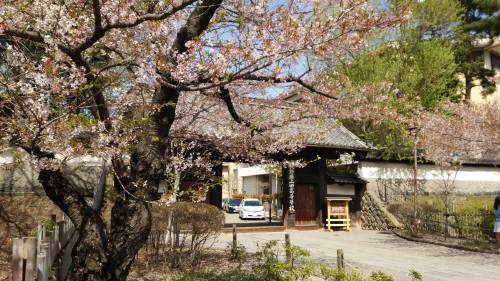 20150418上田02　城主居館跡.jpg