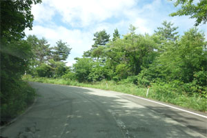 佐渡112.jpg