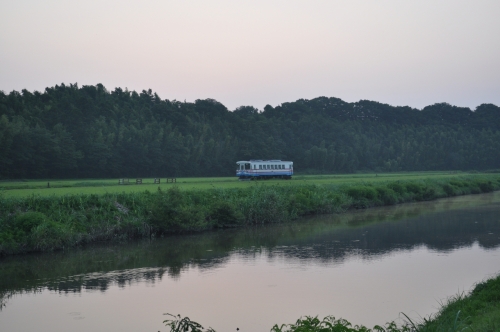 DSC_0054.jpg