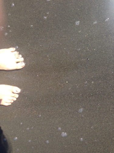 20140806-8.JPG