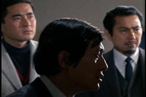 PDVD_008.jpg
