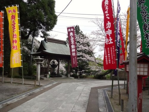 2.2016年桜 宮地嶽神社 (16).JPG