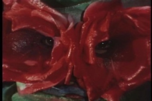 PDVD_042.jpg