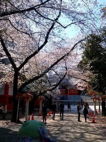 花園神社.jpg