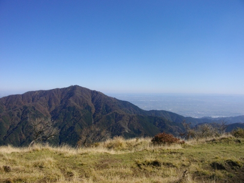 塔ノ岳三ノ塔から大山 (500x375).jpg