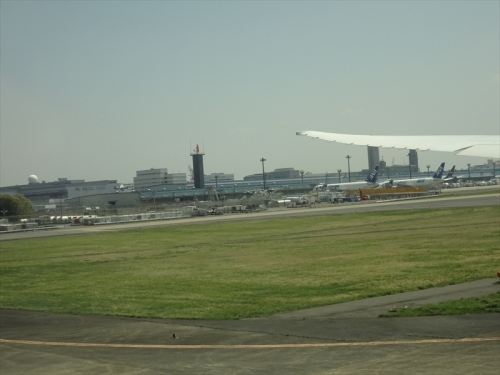 DSC06675_R.JPG