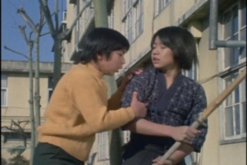PDVD_020.jpg