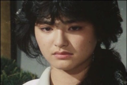 PDVD_011.jpg