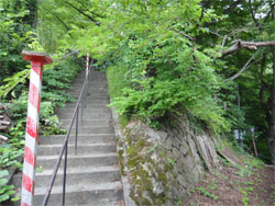 東鳳54.jpg