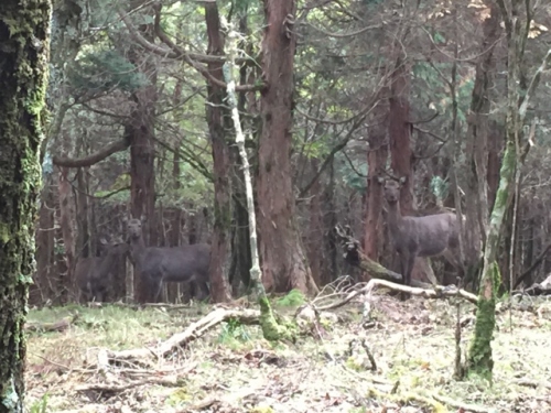 IMG_5547 (640x480).jpg