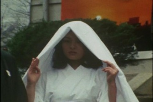 PDVD_021.jpg