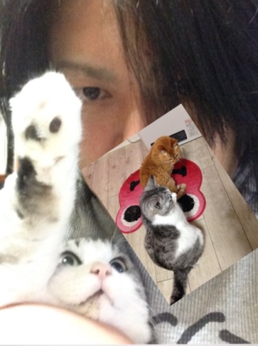 さばとら.jpg