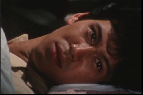 PDVD_003.jpg