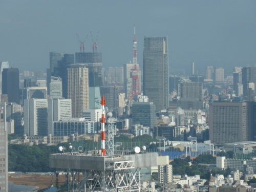 P1020239.jpg