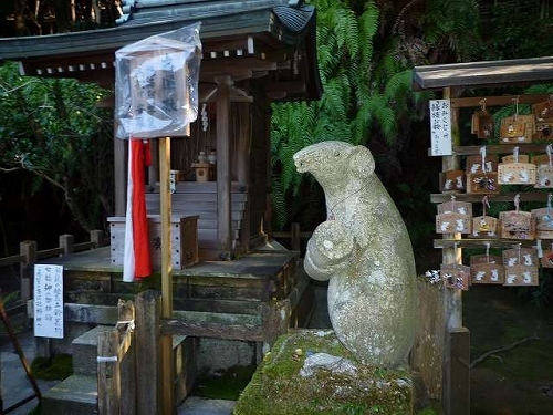 写真20101109-5　imgbd0d2d9fzikezj.jpg