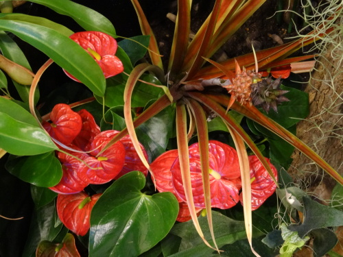 20140617-2.JPG
