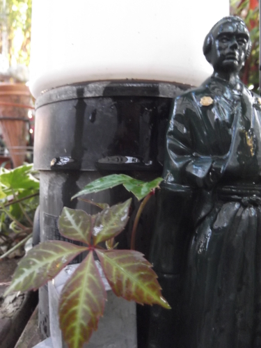 DSCF4822.JPG